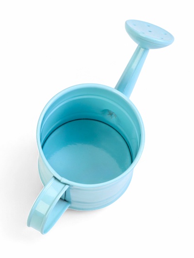 Кашпо «Лейка», 150 мл, металл, МИКС