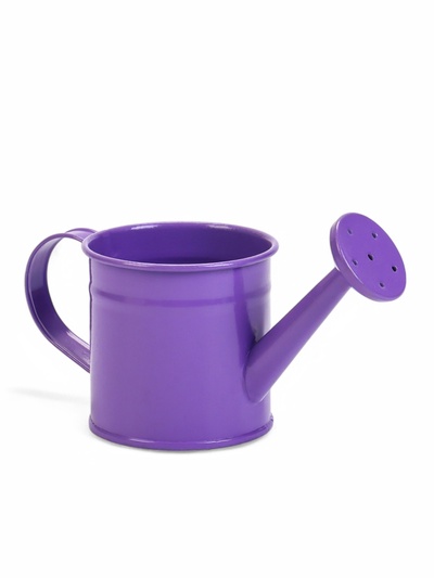 Кашпо «Лейка», 150 мл, металл, МИКС