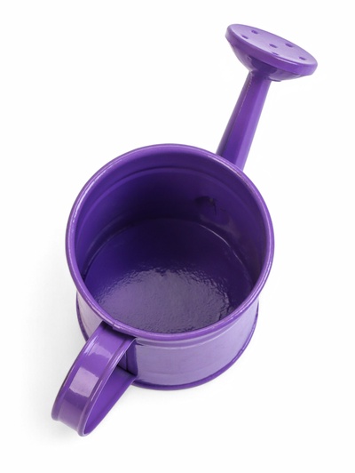 Кашпо «Лейка», 150 мл, металл, МИКС