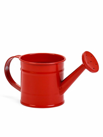 Кашпо «Лейка», 150 мл, металл, МИКС