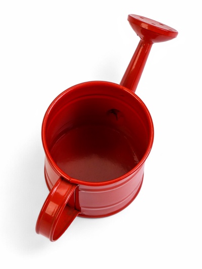 Кашпо «Лейка», 150 мл, металл, МИКС