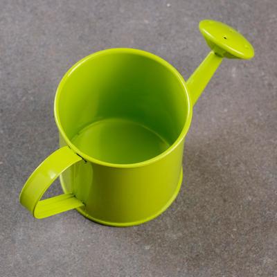 Кашпо «Лейка», 150 мл, металл, МИКС