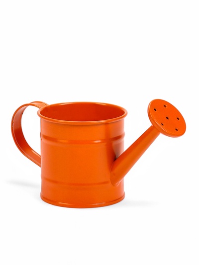 Кашпо «Лейка», 150 мл, металл, МИКС