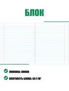 Тетрадь 12 листов в линейку «Зелёная обложка», плотность 65 г/м² - Фото 3