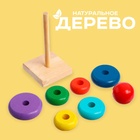 Развивающая пирамидка «Высота» 6×6×14 см - Фото 2