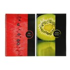 Тетрадь А4, 48 листов клетка на гребне, офсет №1 УФ-лак - Фото 1