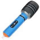 Игрушка надувная «Микрофон», 25 см, цвета МИКС - Фото 3