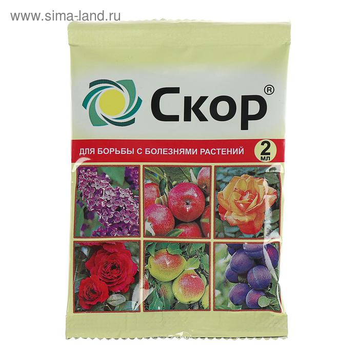 Средство от болезней растений "Скор" ампула, 2 мл - Фото 1