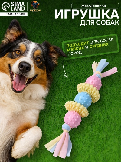 Игрушка жевательная Пижон Premium на верёвке, 5 элементов, термопластичная резина, МИКС