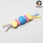 Игрушка жевательная для собак Пижон Premium на верёвке, 5 элементов, термопластичная резина, микс - фото 9139588