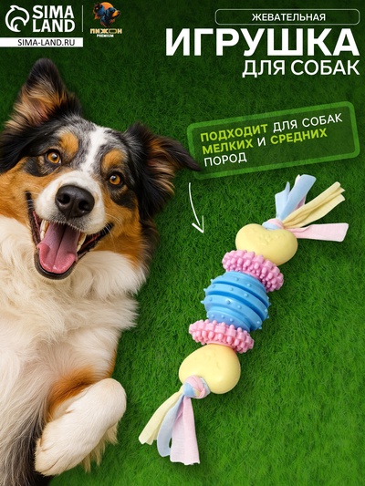 Игрушка жевательная для собак Пижон Premium на верёвке, 5 элементов, термопластичная резина, МИКС