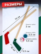 Набор для игры в хоккей (клюшка 2 шт., ворота 2 шт., шайба, мяч), цвет МИКС - Фото 2