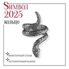 Новый год! Символ года 2025! Кольцо «Змея» цвет серебро, безразмерное 5482710 - фото 4124286