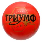 Мяч «Триумф», диаметр 200 мм, МИКС - фото 4317141