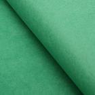 Бумага тишью, цвет зеленый, 50 х 66 см - Фото 1