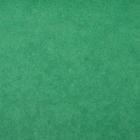 Бумага тишью, цвет зеленый, 50 х 66 см - Фото 2
