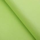 Бумага тишью, цвет лайм, 50 х 66 см - Фото 1
