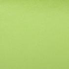 Бумага тишью, цвет лайм, 50 х 66 см - Фото 2