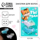 Заколки для волос «Моему котенку», шейкер, 2 шт. - Фото 1