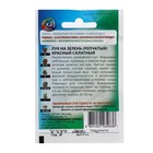 Набор семян Лук "Хит продаж", 5 сортов - Фото 15