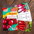 Набор семян Редис "Палитра", 3 сорта - Фото 1