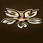 Люстра с ПДУ 71107/5WT LED 130Вт 3000-6000К диммер белый 64х64х10 см BayerLux - фото 35724043