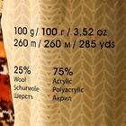 Пряжа "Crazy color" 25% шерсть, 75% акрил 260м/100гр (167) - Фото 4