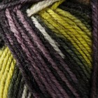 Пряжа "Crazy color" 25% шерсть, 75% акрил 260м/100гр (170) - Фото 3
