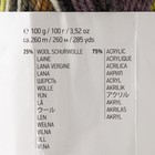Пряжа "Crazy color" 25% шерсть, 75% акрил 260м/100гр (170) - Фото 4
