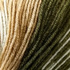 Пряжа "Nordic" 20% шерсть, 80% акрил 510м/150гр (651) - Фото 3