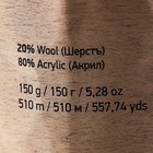 Пряжа "Nordic" 20% шерсть, 80% акрил 510м/150гр (656) - фото 7136857