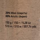 Пряжа "Nordic" 20% шерсть, 80% акрил 510м/150гр (653) - Фото 4