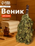 Веник для бани, берёзовый, 50 см, упаковка МИКС - Фото 1