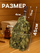 Веник для бани, берёзовый, 50 см, упаковка МИКС - Фото 2