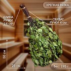 Веник для бани, берёзовый, 50 см, упаковка МИКС - Фото 4