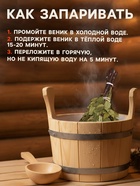 Веник для бани, берёзовый, 50 см, упаковка МИКС - Фото 4
