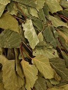 Веник для бани, берёзовый, 50 см, упаковка МИКС - Фото 5