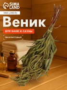 Веник для бани, эвкалиптовый, в еврослоте, «Добропаровъ» - Фото 1