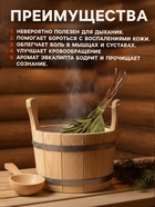 Веник для бани, эвкалиптовый, в еврослоте, «Добропаровъ» - Фото 3