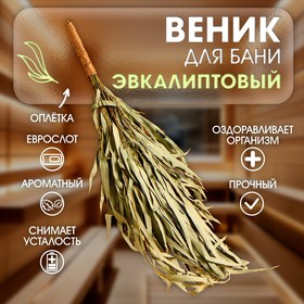 Веник для бани эвкалиптовый с оплеткой, в еврослоте 683771