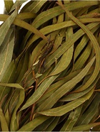 Веник для бани, эвкалиптовый, в еврослоте, «Добропаровъ» - Фото 7