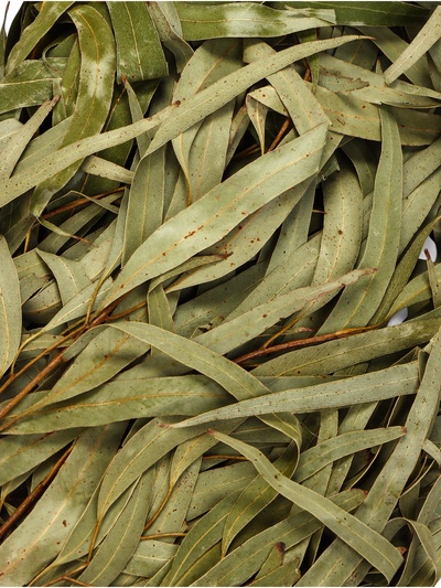 Веник для бани, эвкалиптовый, в пакете, «Добропаровъ»