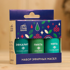 Набор эфирных масел «Пихта. Мята. Эвкалипт», 3 шт. по 15 мл - Фото 3