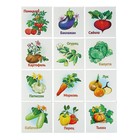 Развивающие карточки для малышей «Овощи» (12 штук) - Фото 2