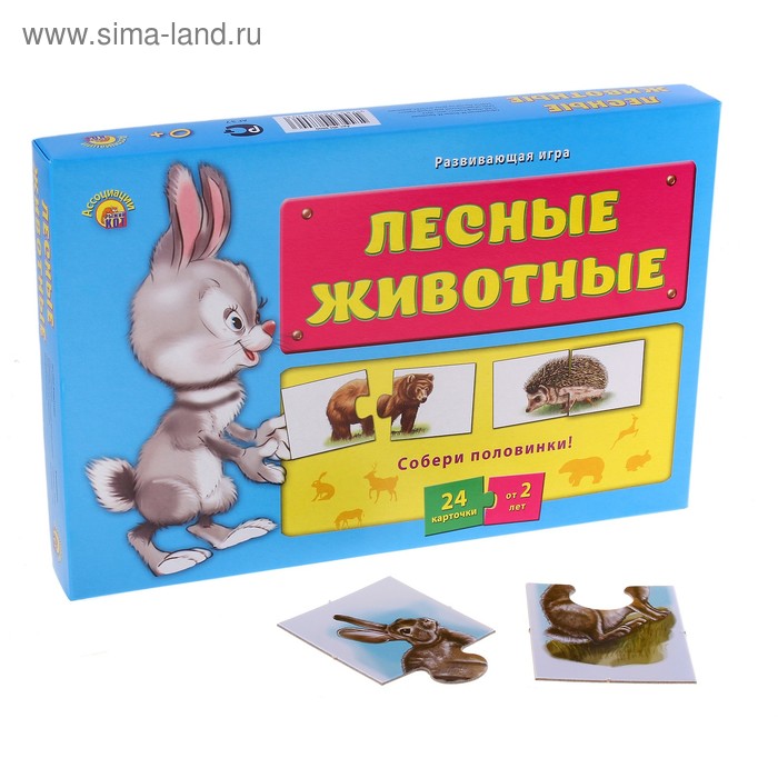 Дидактическое пособие «Лесные животные» - Фото 1