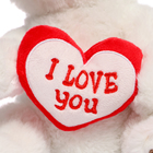 Мягкая игрушка «Медведь белый с сердцем», 23 см - Фото 6