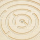 Балансир лабиринт, 54×36 см, с шариком - Фото 3