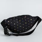 Сумка на пояс Princess, 25×6×13, отд на молнии, без подклада, черный - Фото 3