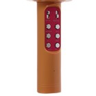 Колонка-микрофон для караоке WS-1816ch, 2х3 Вт, 2600 мАч, подсветка, золотистый - фото 51452010 Колонка-микрофон для караоке WS-1816ch, 2х3 Вт, 2600 мАч, подсветка, золотистый - фото 51452010