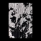 Паутинка с поталью для декора ногтей, цвет серебристый - Фото 1